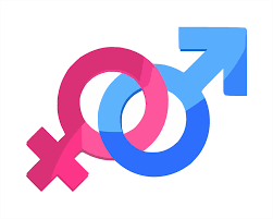 Let’s talk about Sex(ism)