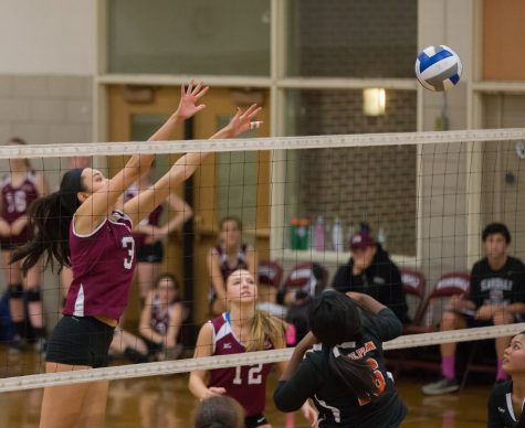 Volleyball Season 2015