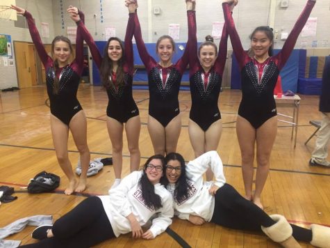 Gymnastics 2017