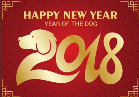 Chinese New Year Celebration