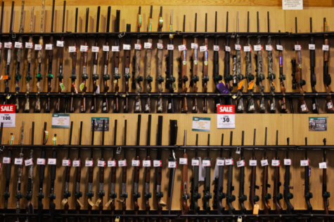 Gun Policies Under Challenge