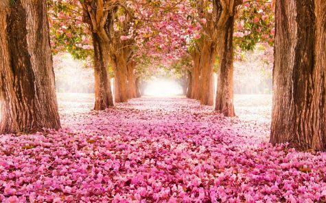 Flavors of Spring