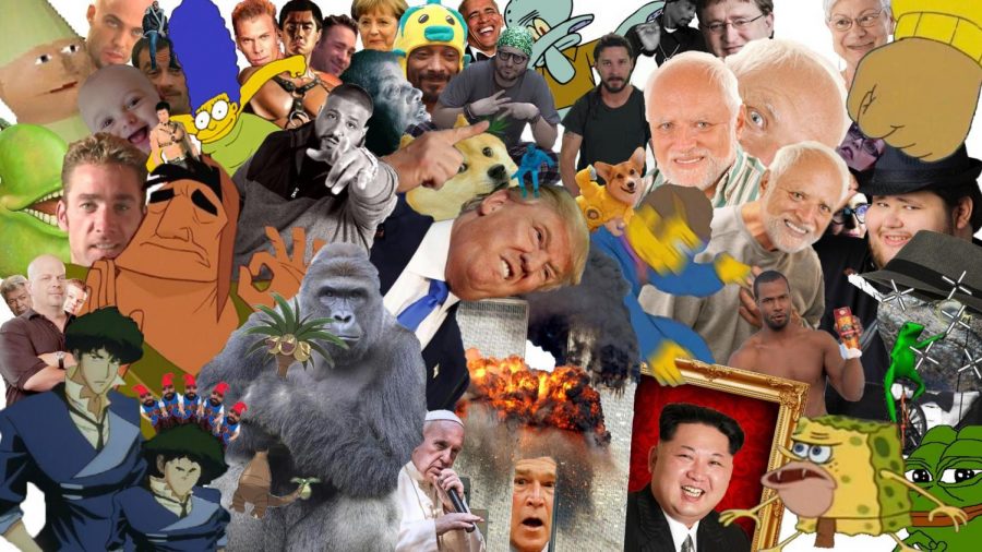 Meme Day Compilation
