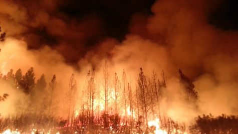 Wildfires Blaze Across California