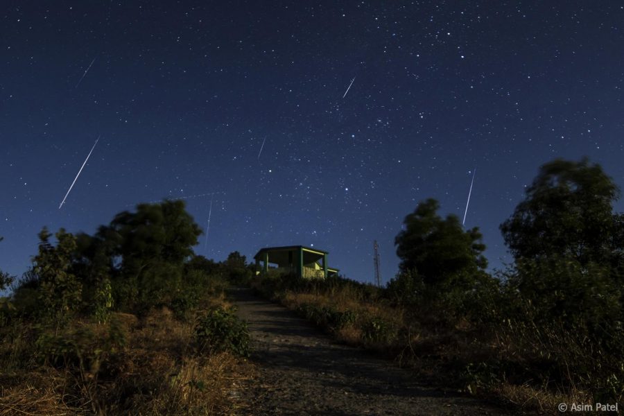 Geminid Meteor Shower Lights up the Sky
