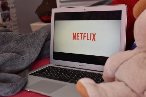 Netflix Shows in May