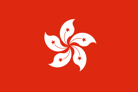 Pro-democracy protestors in Hong Kong have rejoiced with several successes after almost six months of protest.