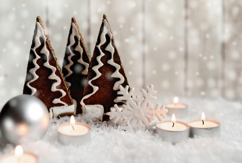 With so much free time, you’re bound to be bored at some point. Here are seven things you can try this winter break.