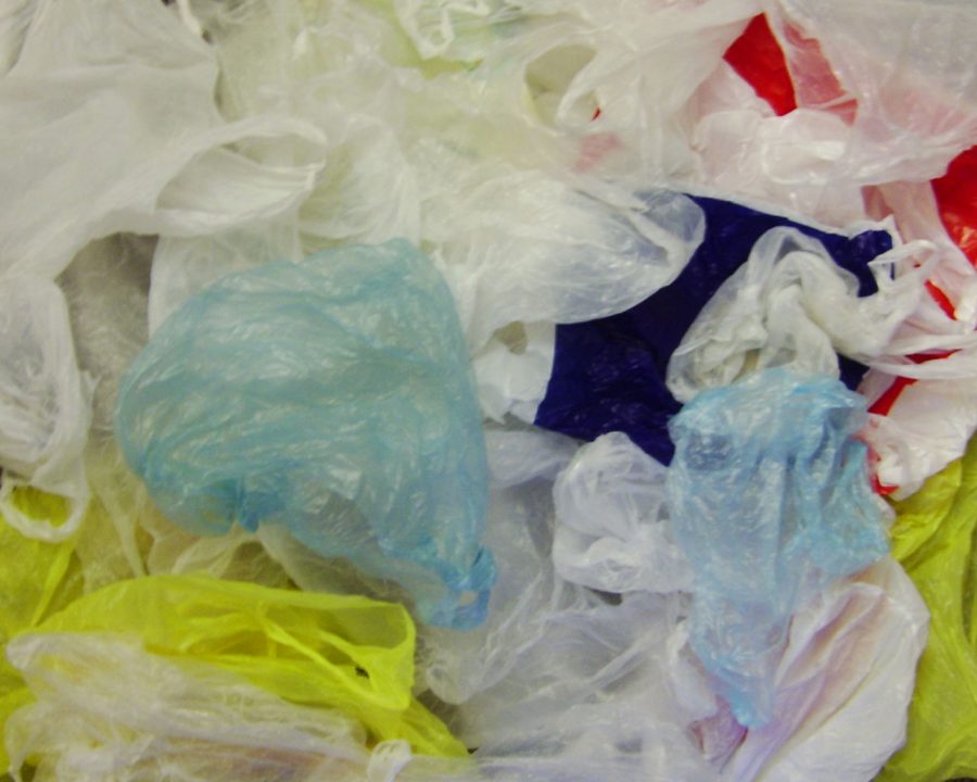 New York Banning Plastic Bags Starting March 2020