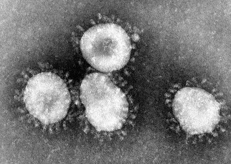 The coronavirus has spread extremely quickly. As of Sunday, there have been around 2,700 confirmed cases and over 80 deaths in mainland China. 