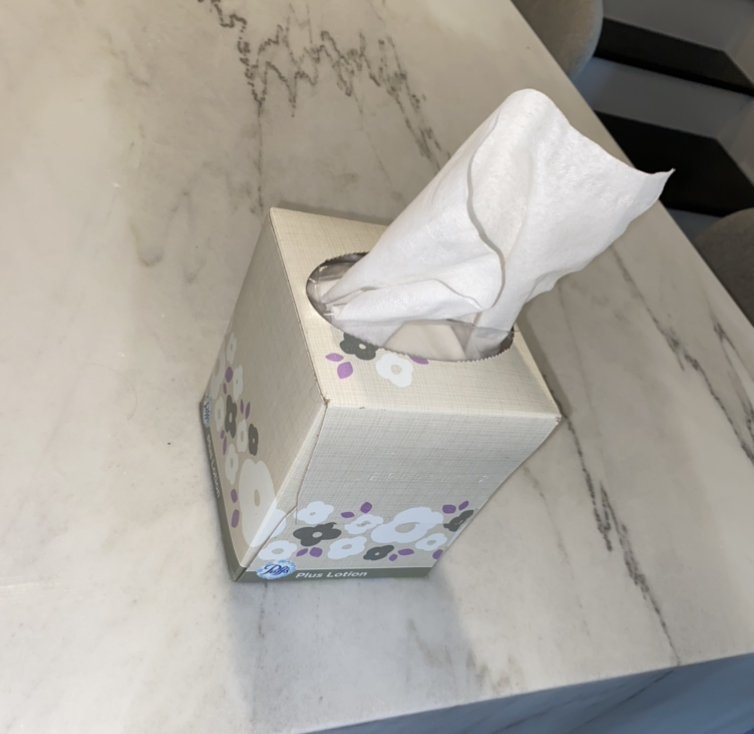 A tissue box, a common symbol of sickness and a useful tool in the battle against colds and the flu.