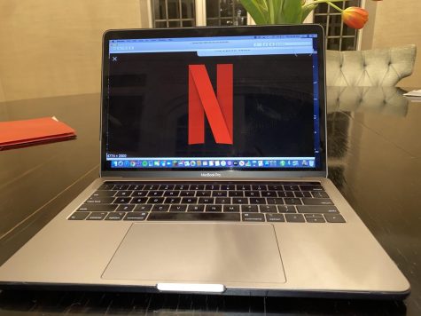 Netflix, the platform in which You is available, and a wildly popular online streaming service.