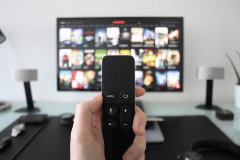 Although there seem to be an overwhelming amount of streaming services available, families and individuals can choose what's best for them.
