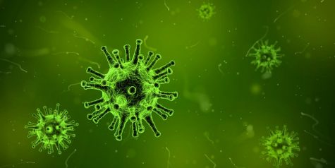 The Coronavirus outbreak has not only affected Scarsdale High School’s classrooms, but also its planned trips and international programs.