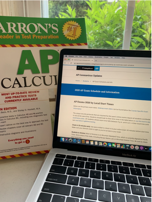 A textbook, computer, and the College Board website - all necessities for this year’s AP exams.