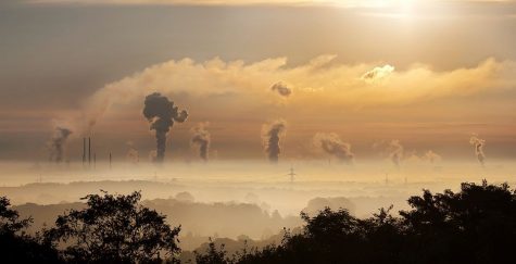 Factories contribute massively to climate change. The fashion industry is the world’s second largest polluter, and fast fashion only worsens its effects on the environment.