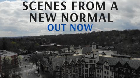 Scenes from a New Normal is one of the first films to be produced entirely over Zoom.
