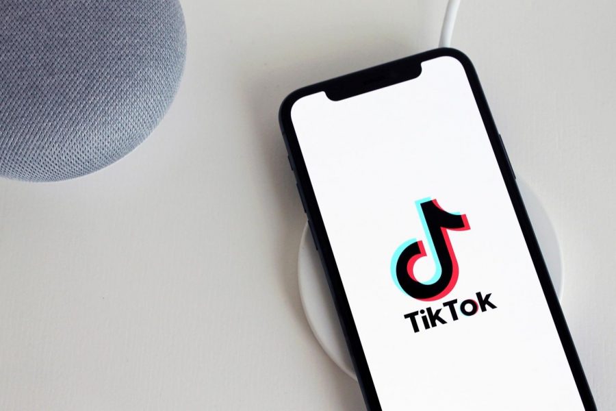 As+TikTok+continues+to+dominate+the+social+media+landscape%2C+it+leaves+society+wondering+what%2C+in+particular%2C+about+this+platform+encourages+such+a+widespread+audience.