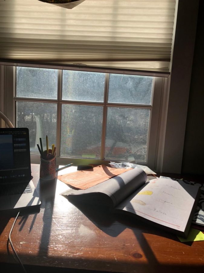A virtual students desk as he readies for a day of Zoom classes while enjoying the sunshine from his window.