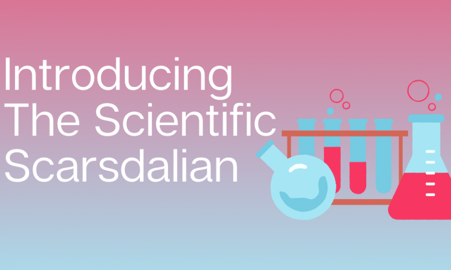 Simone Glajchen ’23 and Cindy DeDianous ’23 have created their very own student-run magazine, the Scientific Scarsdalian.
