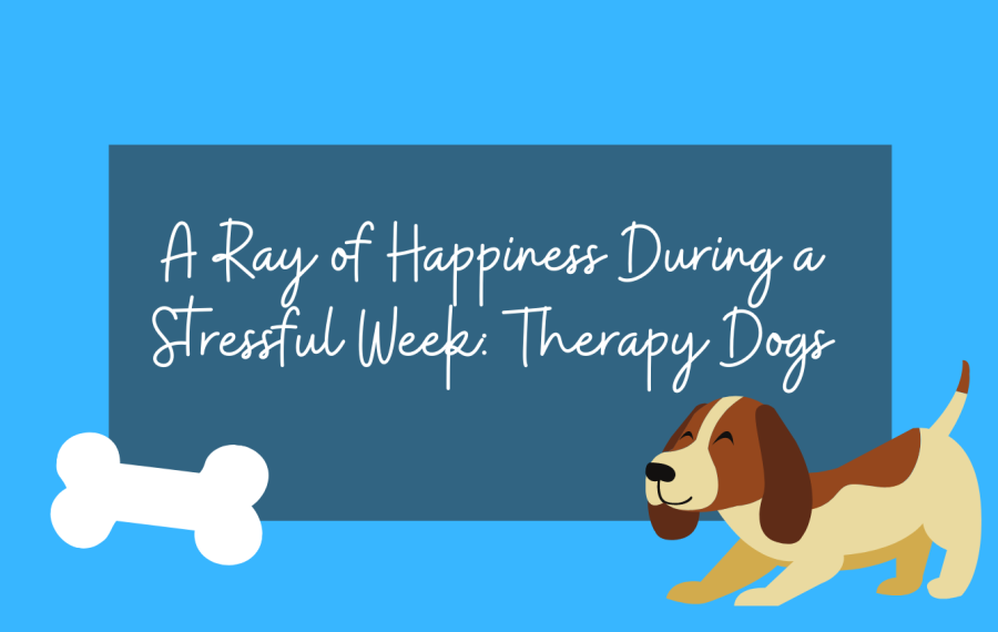 Therapy+dogs+visit+Scarsdale+High+School+to+help+alleviate+student+stress+during+testing+week.