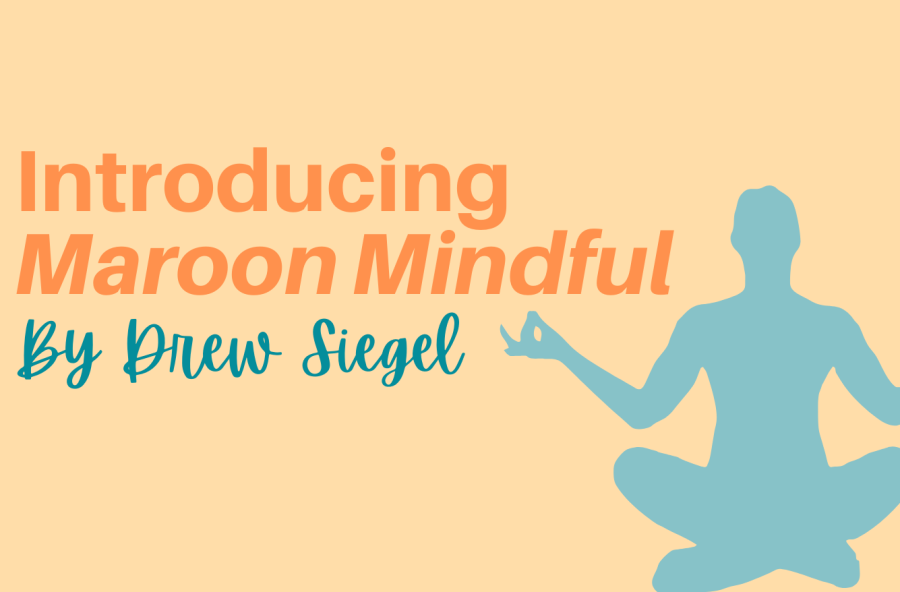 Drew+Siegel+begins+her+blogging+journey+on+Maroon+discussing+health+and+fitness.
