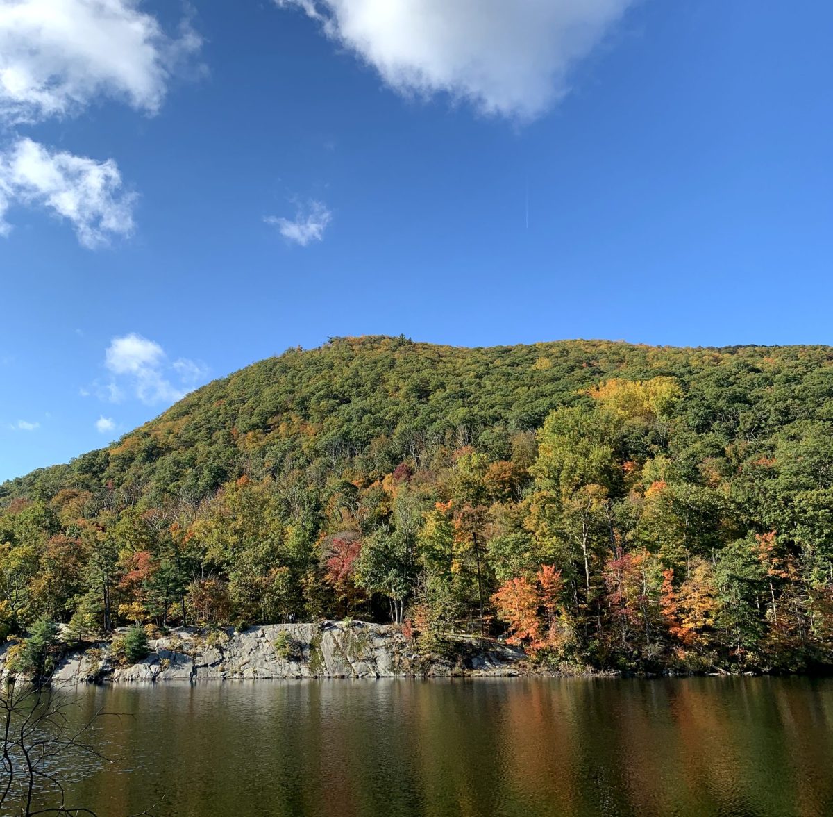 Lake and trees at Bear Mountain State Park.