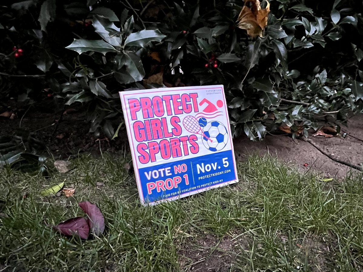 Some local churches and critics of Proposition One displayed lawn signs urging voters to not vote for the proposed amendment.