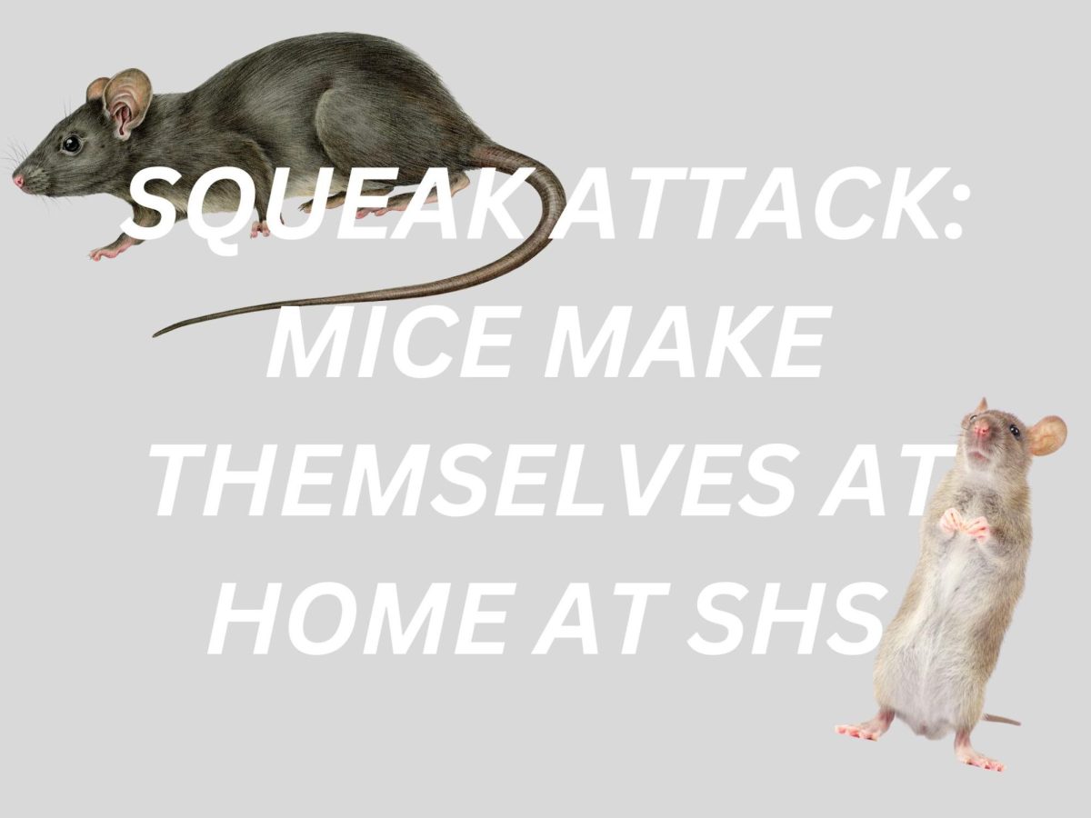 Squeak Attack: Mice Make Themselves at Home at SHS