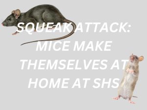 Squeak Attack: Mice Make Themselves at Home at SHS