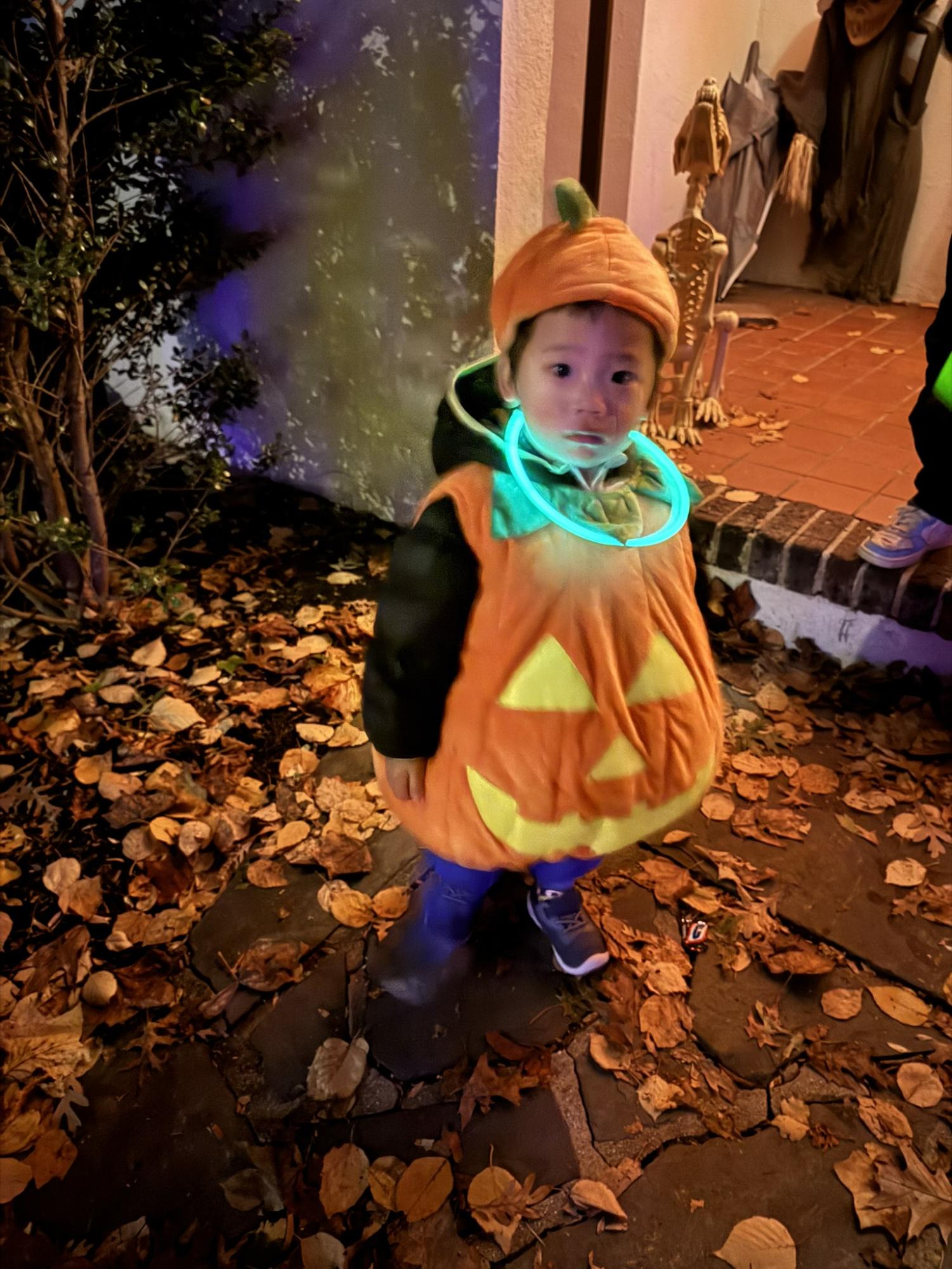 A Spooky Summary: 2025 Halloween Photo Gallery