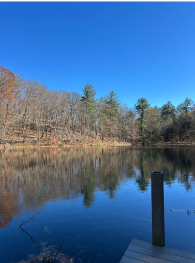 Top 5 Things to Do in Wintertime in Westchester