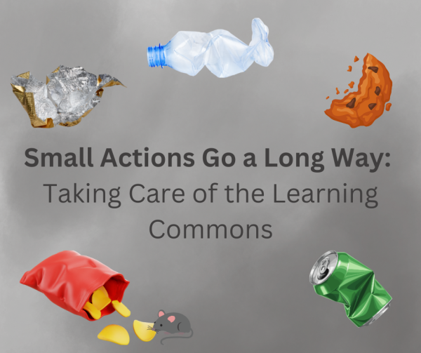 Small Actions Go a Long Way: Taking Care of the Learning Commons
